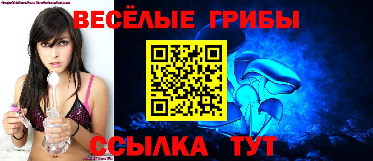Галлюциногенные грибы Magic Shrooms Сокол