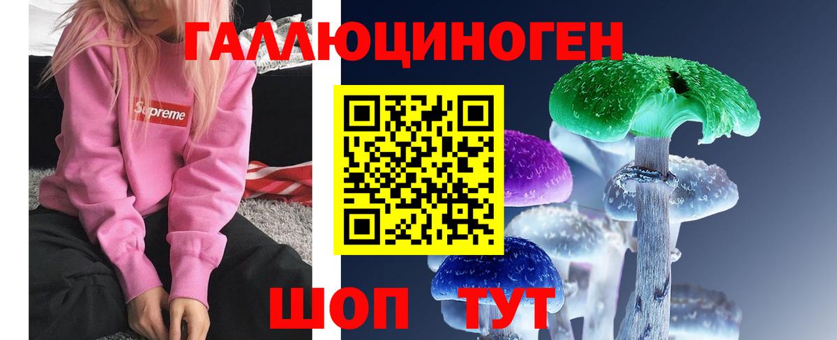 закладка  Псилоцибиновые грибы MAGIC MUSHROOMS  Вход с VPN  Сокол 